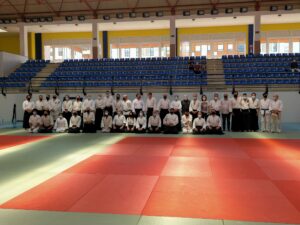 Exhibición de Aikido